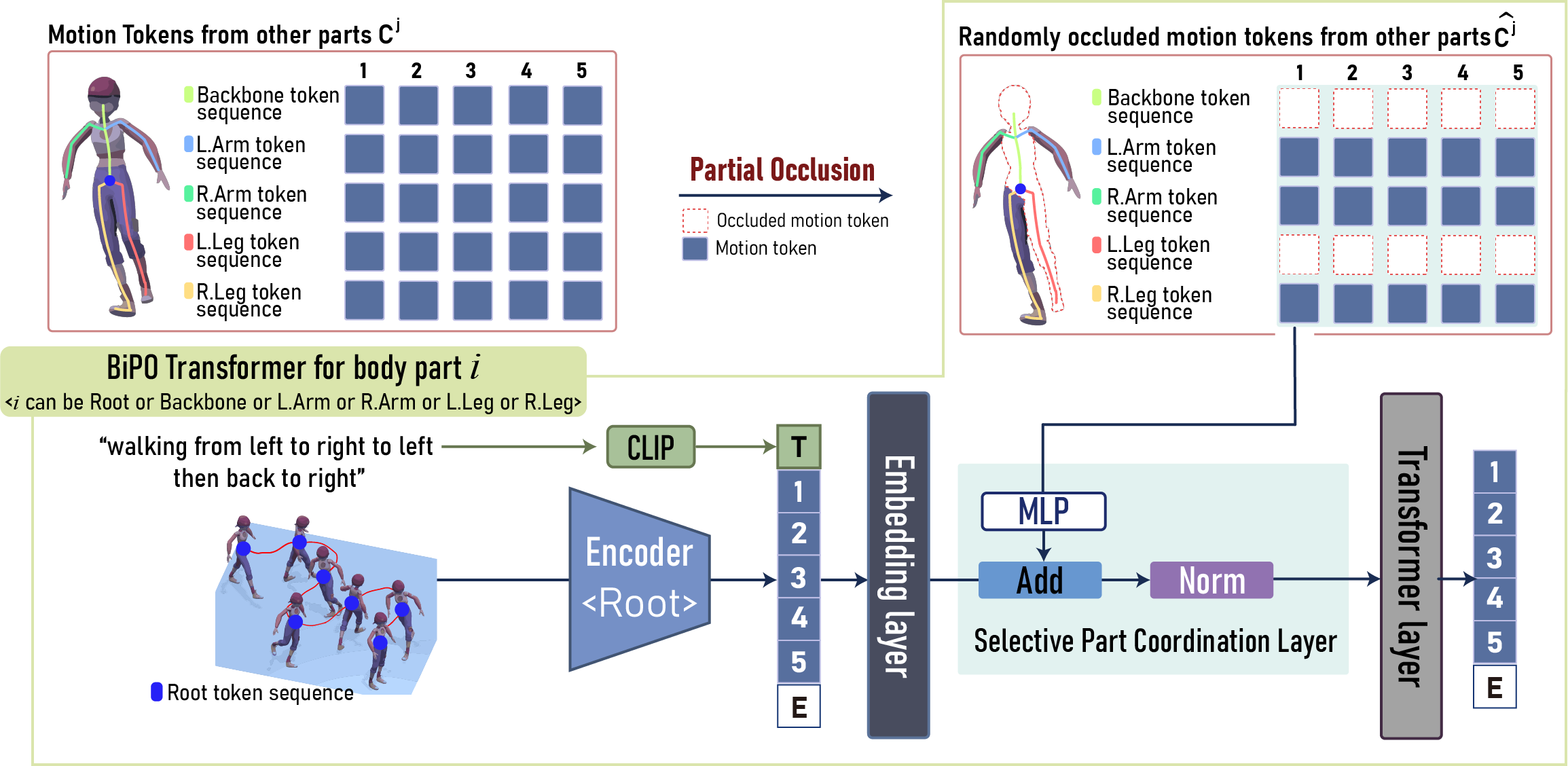 BiPO Architecture Diagram
